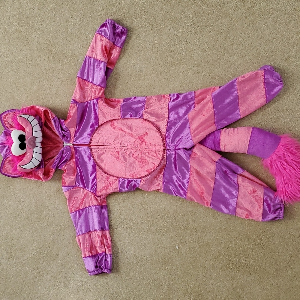 SAME DAY SHIPPING!  12-18 Month Cheshire Cat Costume